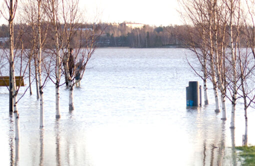 Tulvavedet vyöryivät taloyhtiön kellariin – korvasiko vakuutus mitään?